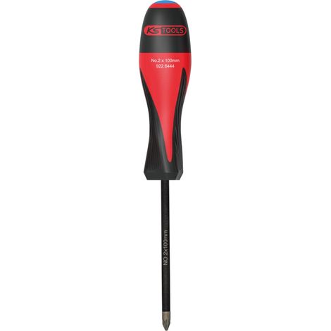 Tournevis POZIDRIV, PZ2 - L.100 mm - Avec Lame en Chrome Vanadium (1/3)