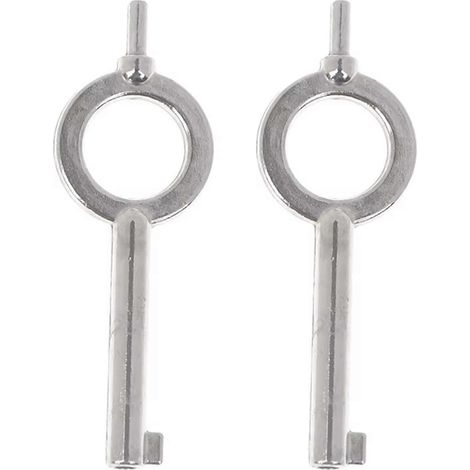 2 ébauches de clé plate universelle de style américain clé spéciale pour menottes porte-clés en alliage d'aluminium argenté (1/5)