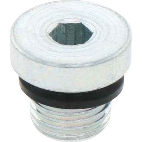 Tappo filettato G1/4" L=17mm 400bar (1/3)