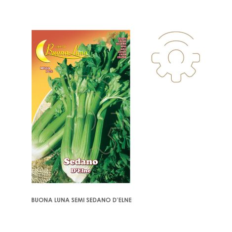 Hortus Buona Luna graines de cA leri semer potager pelouse