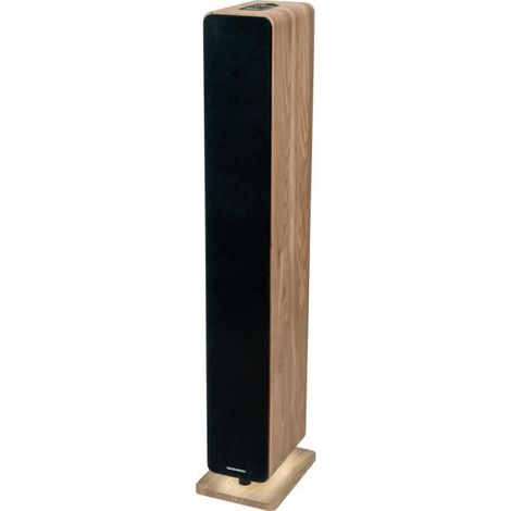 Bluetooth-Lautsprecher - THOMSON - Holz/Schwarz - 120W, Optisch, USB, Equalizer, TWS, Fernbedienung, Netzteil 230V (1/5)