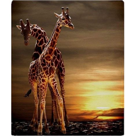 Couverture polaire douce - Girafes 125 x 200 cm - Convient pour canapé ou lit (1/5)