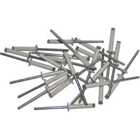 250 Rivets eclates 4x20 blancs