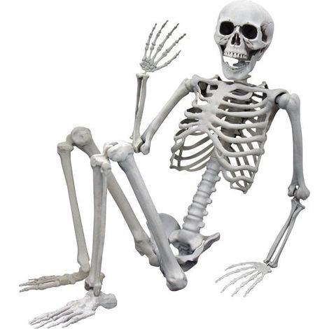 MENSCHLICHES SKELETT HALLOWEEN-SKELETTMODELL 170 cm KOSTÜMDEKORATIONEN (1/5)