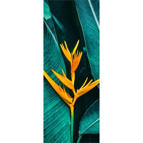 Panneau mural douche en alu-composite VIPANEL - Inspiration Nature Décor Heliconia - Finition Brillant - 100x255cm (1/5)
