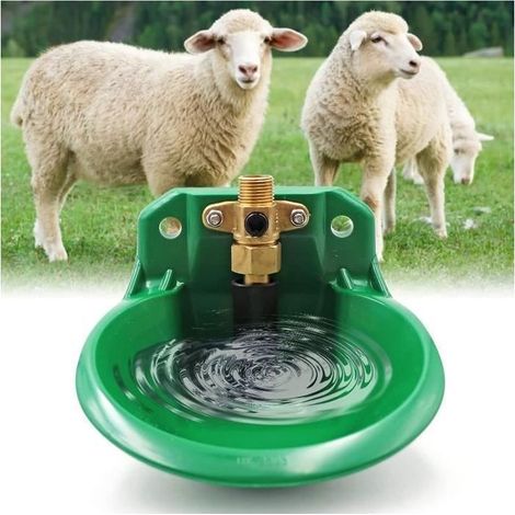 Abreuvoir pour moutons Abreuvoir pour bovins Abreuvoir automatique pour chèvres Distributeur d\\\\'eau de grande capacité Abreuvoir (1/4)