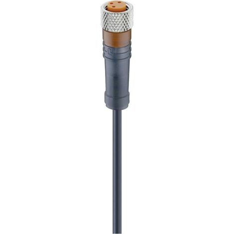 Lumberg Automation Conector M8 4 pines 2 metros
