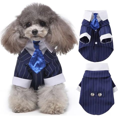 1 costume smoking pour chien, bleu, polyester, avec cravate et col, adapté aux races petites à grandes, pour mariage ou fête (1/5)