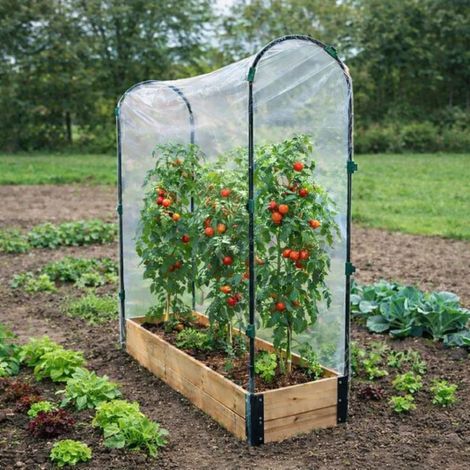 Carré potager tomate en bois de sapin avec housse PVC - 115x30x120cm