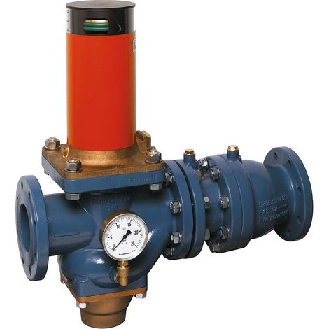 Rohrtrenner R295P-F EA1 Flansch GG plvb FA DN 100 (1/3)