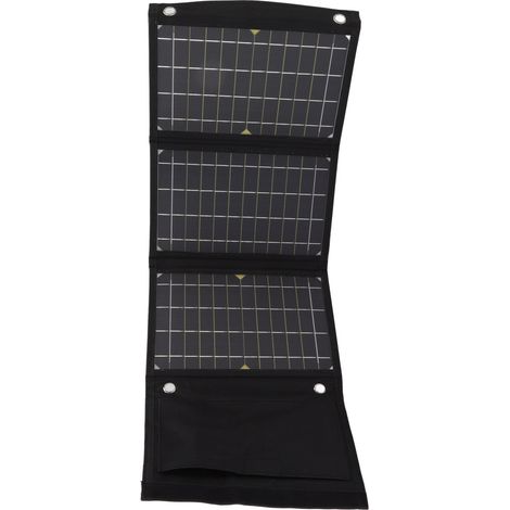 Panneau Solaire Portable Professionnel 24W Monocrystalline avec Ports USB pour Camping et Outdoor (1/5)