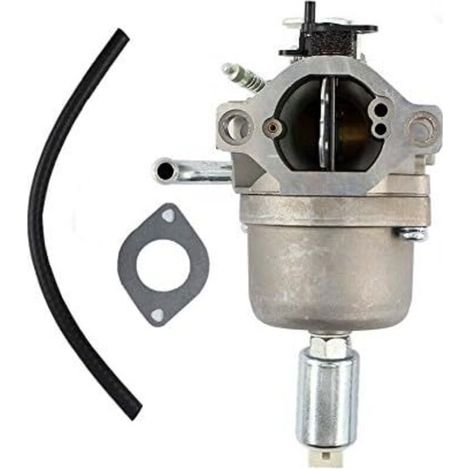 Carburateurs compatibles avec les moteurs Briggs & Stratton 21B707 21B807