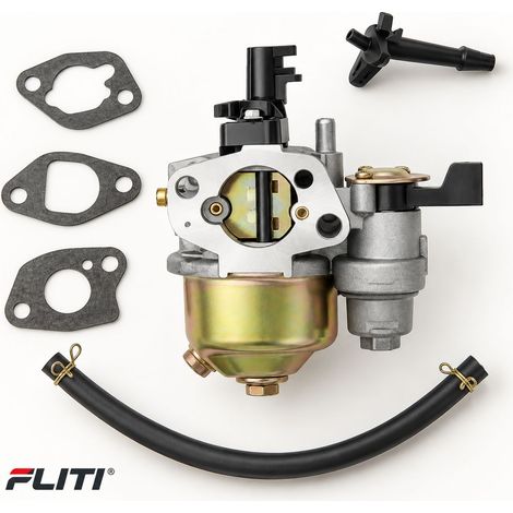 Carburateur 19mm pour Moteur 168F 170F 196cc 212cc avec Joints et Durite (1/5)