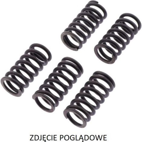 Molle frizione TRW ZF Ducati Monster EVO 1100 '11-'13, Panigale 1199 '12-'14, Diavel 1200 ''11-'16, Monster 1200 '14-, Multistrada 1200S '16-'17, Diavel/Multistrada 1260 '18-,