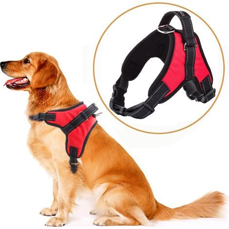 Laisse pour chien - Rembourrée et souple - Poignée confortable - Idéale pour le dressage canin - Rouge (1/5)