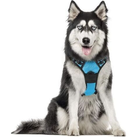 Harnais pour chien XL bleu clair – Anti traction avec attache avant – Bandes réfléchissantes pour visibilité – Réglable pour confort optimal (1/5)