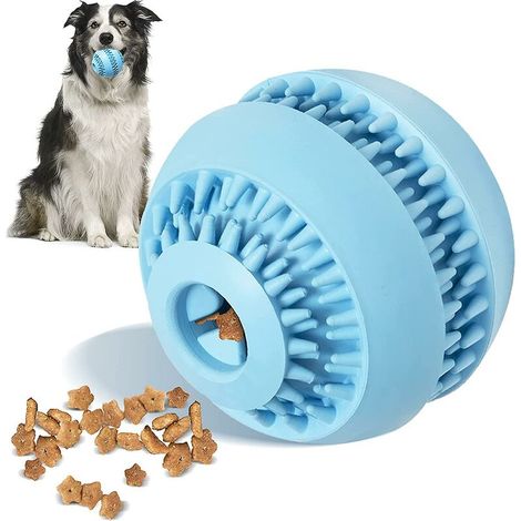 Jouets à mâcher pour chiens agressifs (1/4)