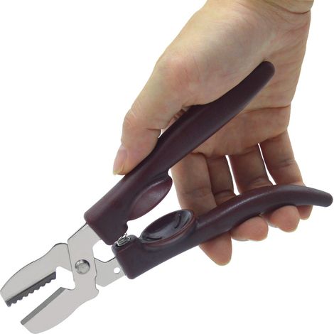 coupe-châtaignes/éplucheur en acier inoxydable (1/5)