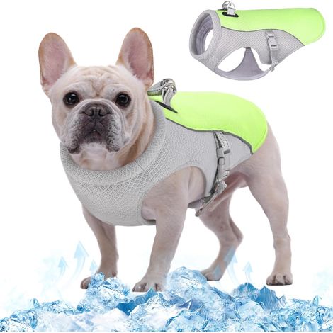Gilet rafraîchissant pour chien, Manteau de refroidissement pour chiens, Veste respirante de refroidissement pour animaux de compagnie, Gilet estival pour chiens,pour les activités en extérieur (1/5)