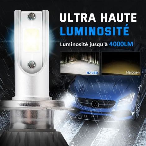 Ampoule H7 - LED - 12 V - 36 W - 4000 LM - 6000 K - Compatible Tous Véhicules - Paquet de 2 (1/4)