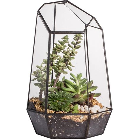 Terrarium en Verre Forme Géométrique Irrégulière 25 cm de Hauteur Pot de Fleurs, Fougère, Récipient de Table en Mousse (sans Plantes ni Accessoires) (1/5)