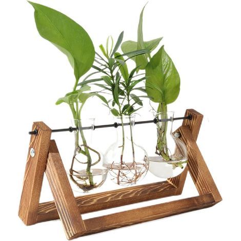 Plant Propagation Station with Wooden Stand, Vintage Glass Bulb Vases, Hydroponic Plant Vase, Mother's Day Gift for Women Men (1/4)