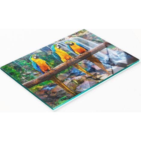 Tabla de cortar y servir decorativa de cristal con dise帽o de loro en una rama, 80 x 52 cm. (1/5)