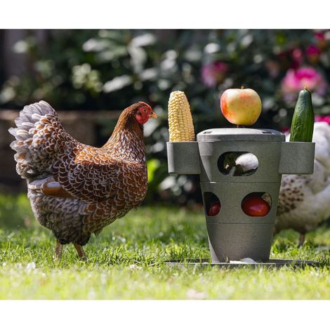 Comedero para Pequeñas y Grandes Gallinas - Snack Tower para Aves de Corral - Comedero Interactivo y Entretenido para Gallinas (1/5)