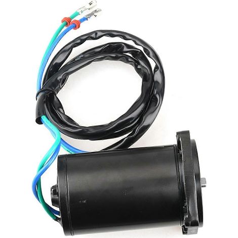 5007775 Motore per decespugliatore inclinabile, compatibile con parti per motori fuoribordo Evinrude 40-60HP 6248, 5005831, 18-6815 Parti per motori marini (1/2)
