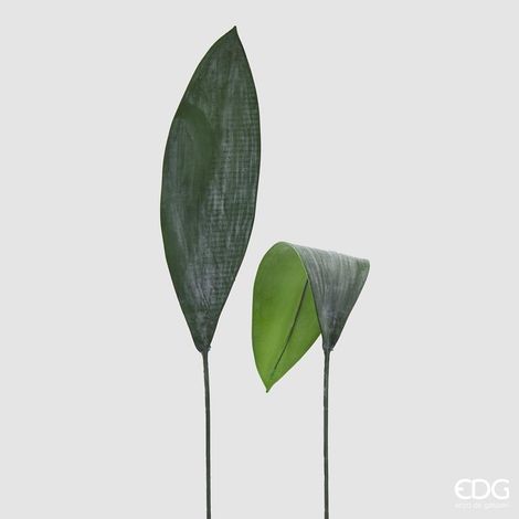 EDG Foglia Aspidistra H 72 cm