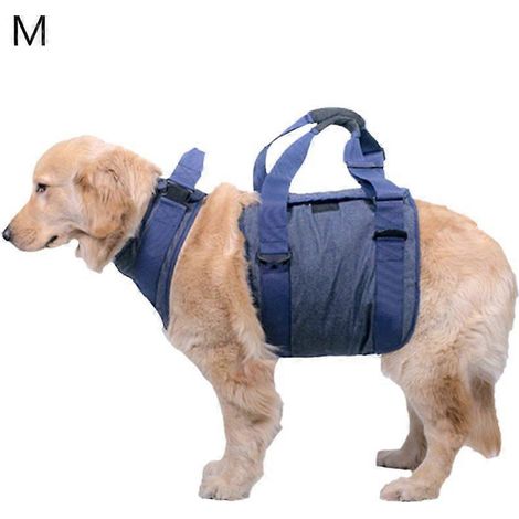 Hundegeschirr-Weste für kleine, mittlere und große Hunde, Anti-Zug-Funktion, Größe M, blau, Sicherheit, Komfort, verstellbare Traktion.
