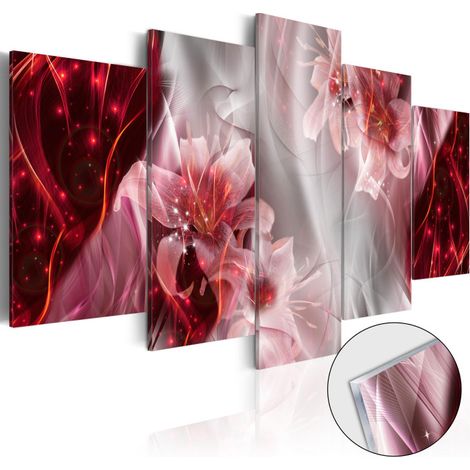 Tableau sur Verre Acrylique "Incarnadine Comet" 50 x 100 cm (1/2)