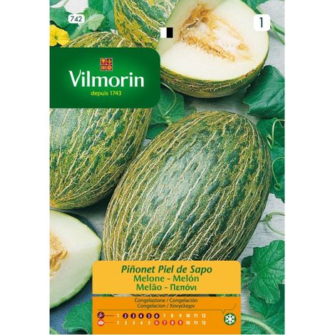 Vilmorin Melon Seeds Sapo Leather - 5 Gr