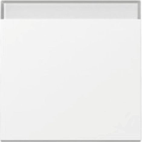 Gira WIPPE BSF SYSTEM 55 REINWEIß (329903 SYSTEM 55) (1/5)