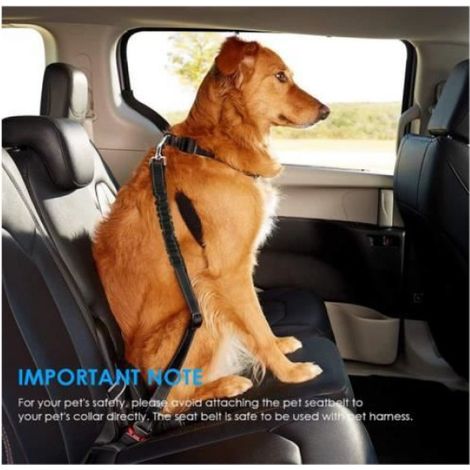 Ceinture de Sécurité Pour Chien - Robuste et Durable - Réglable - Noir (1/4)