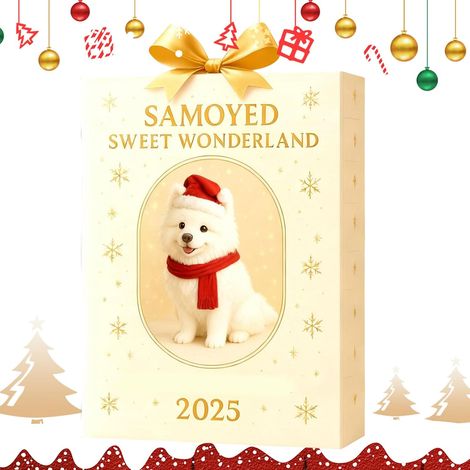 Calendrier De L'Avent Avec Ornements De Noël Décorations En Acrylique 2D Ornement De Compte À Rebours De Noël De 24 Jours Pour Retroviseur De Voiture Salle De Classe Cadeau De (1/5)