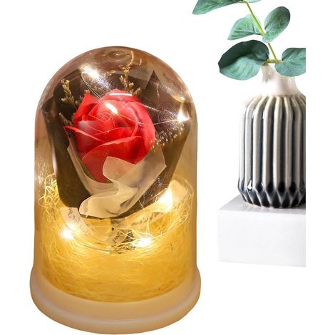 Fleurs Préservées Bouquet de Roses Éternelles sous Cloche Fleurs Perpétuelles avec Lumière Offrir à Maman, Femmes, Sœur, Fille, Épouse, Elle, Saint-Valentin, Petite Amie, (1/5)