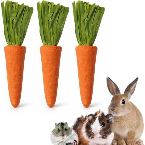 Set of 3 Rabbit Toy, Carrot Toy, Natural Chew Toys, Rabbit Chew Toys, for Rabbits, Chinchillas, Guinea Pig, Hamsters (1/5)