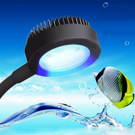 Lampe LED pour aquarium, spectre complet, clip réglable, pour poissons et plantes aquatiques, cadre noir.-AquaForge (1/5)