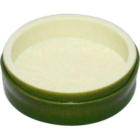 Gamelle pour reptiles, petite surface lisse, décorations, habitat pour lézards, gamelle d'eau pour gecko, caméléon, léopard-style E (1/5)