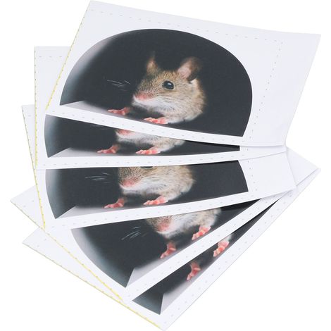 Lot de 20 stickers muraux réalistes et mignons en forme de trou de souris, pour plinthes, meubles, cuisine et décoration intérieure (Type 2) (1/5)