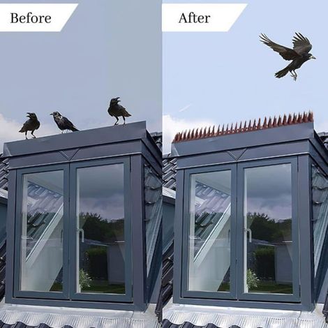 Pic Anti Pigeon, 12 Pièces Pic Anti Oiseaux Plastique, Pique Anti Pigeon Balcon 4.3 M, Pique Anti Oiseaux, Pointe Anti Pigeon. (1/4)