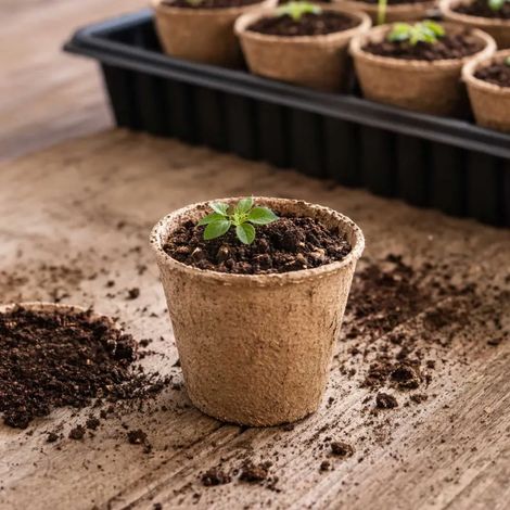 Lot de 60 Pots Biodégradables Ronds Ø6cm pour Semis et Culture (1/5)