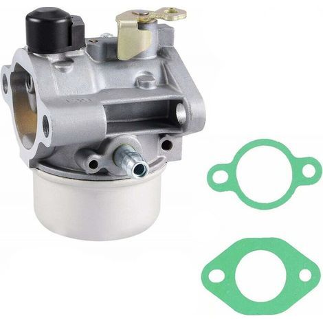 Carburateur avec Joints – Pour 12-853-98S, 12-853-140S, 12-853-169S, 12-853-139S (1/5)