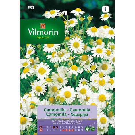 Vilmorinsamen der aromatischen Camomila S-1 508, 0,6 g