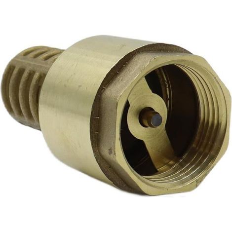 Pack De 2 Clapets À Pied En Laiton Npt De 1 Pouce - Clapets Anti-Retour Avec Crépines Pour Pompes À Jet De Puits (1/5)