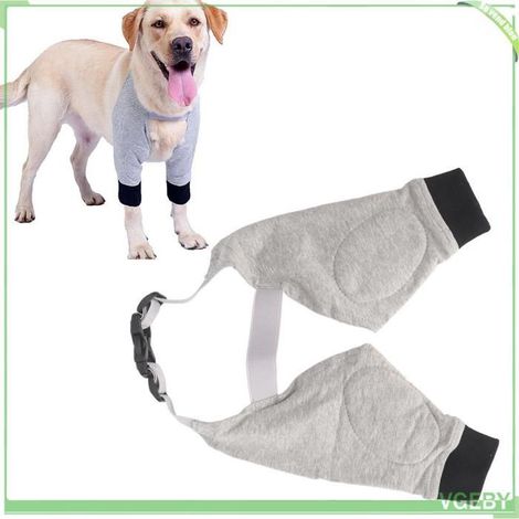 Protecteur de coude pour chien - FAFEICY - XL - Respirant - Réglable - Maintien renforcé (1/5)