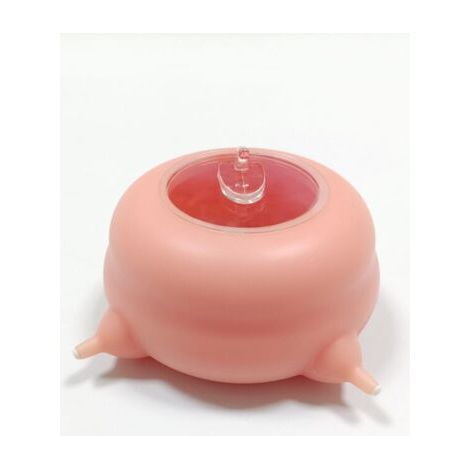 BUNTHAUS Mangeoire à lait en silicone pour chiot, mangeoire en silicone pour chiot chaton, mangeoire à lait pour petits animaux de compagnie, chiot, chaton, 200 ml, 4 sucettes (1/5)