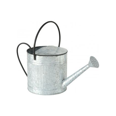 Arrosoir en Zinc Cottage (1/5)