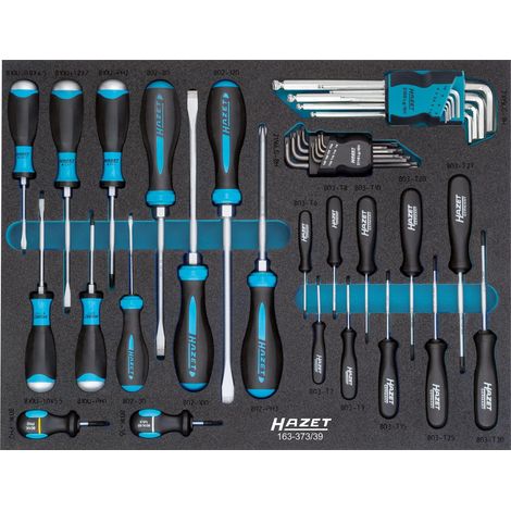 Hazet Jeu de tournevis - Profil à fente, Profil Phillips PH, Profil Pozidriv PZ, Profil TORX intérieur, Profil à 6 pans intérieurs - Nombre d'outils: 39 - 163-373/39 (1/4)